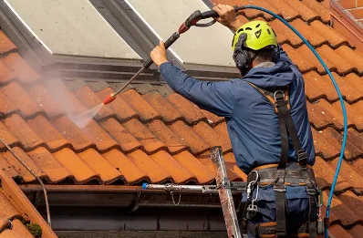 Démoussage et hydrofuge de toiture à Béard-Géovreissiat